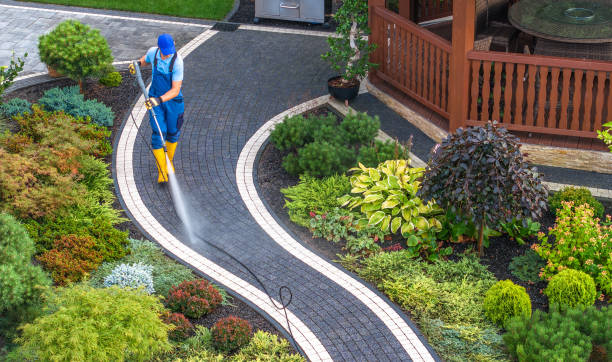 Best Best Pressure Washing Companies  in USA